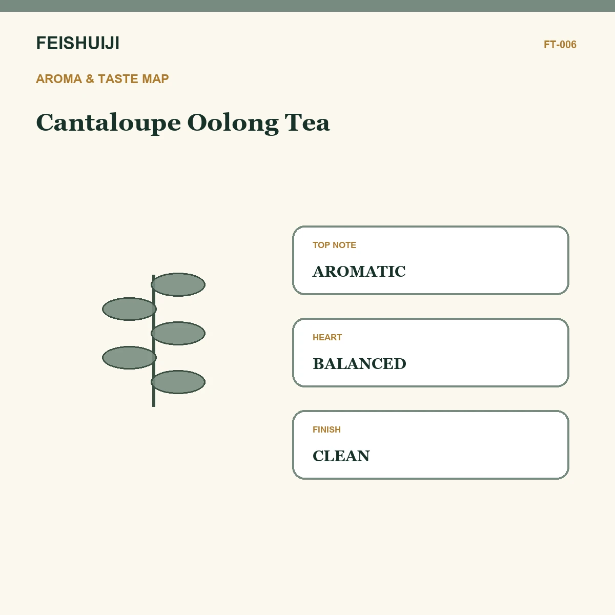 Aroma and taste map for Cantaloupe Oolong Tea